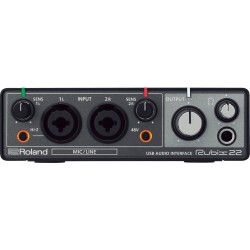 ROLAND RUBIX 22 INTERFACCIA AUDIO AD ALTA RISOLUZIONE 24 BIT 192 KHZ 2 IN 2 OUT PER PC MAC E iPAD
