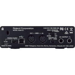 ROLAND RUBIX 22 INTERFACCIA AUDIO AD ALTA RISOLUZIONE 24 BIT 192 KHZ 2 IN 2 OUT PER PC MAC E iPAD