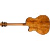 WASHBURN WCG-66SCE N CHITARRA ACUSTICA ELETTRIFICATA 4/4 TOP CEDRO MASSELLO FONDO E FASCE IN ACERO SPALLA MANCANTE COLORE NATURA