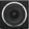 AURATONE C50A MONITOR DI RIFERIMENTO MONO VIA FULL RANGE 5,25" 30 WATT
