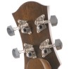 APPALACHIAN DULCIMER PICCOLO TOP ABETE FONDO LIME FASCE E MANICO ACERO SCALA 615MM