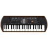 CASIO SA76 TASTIERA PORTATILE 44 TASTI MINI SCUOLE MEDIE PIANOLA POLIFONICA 100 TONI 50 ACCOMPAGNAMENTI 10 BRANI