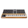 MOOG THE ONE 16 SINTETIZZATORE ANALOGICO PROGRAMMABILE 16 VOCI CON TASTIERA 61 TASTI